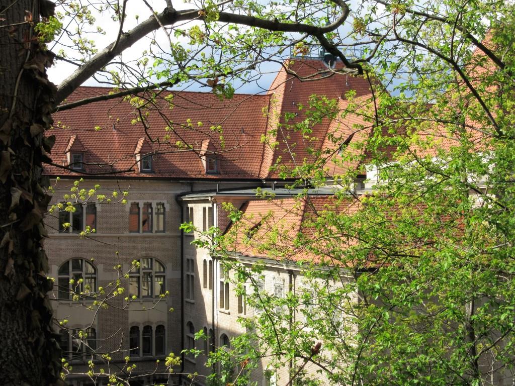 Tü Süd